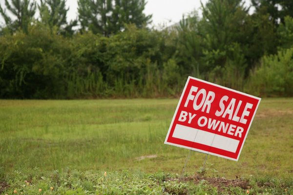 Evans County - 28.11 Acres